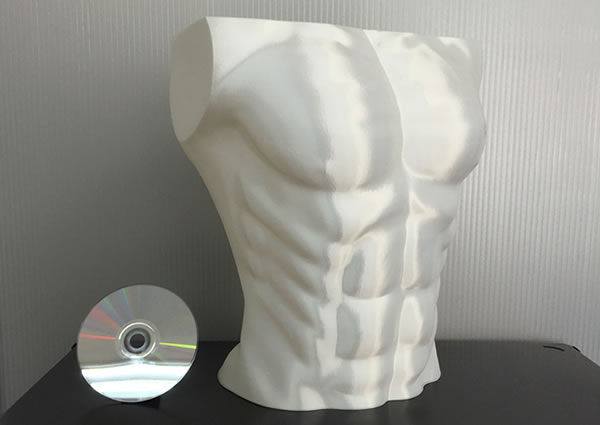 3Dプリンタ造形事例：人体胸部